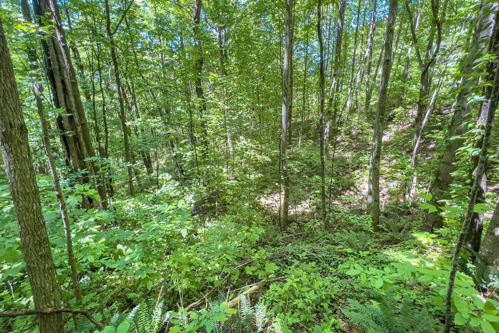 Lot 136 St Andrews Way, Ellijay GA 30536 - Photo