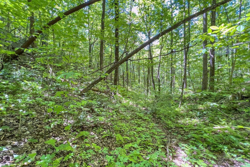 Lot 136 St Andrews Way, Ellijay GA 30536 - Photo