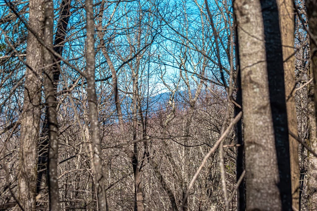 Lot 136 St Andrews Way, Ellijay GA 30536 - Photo