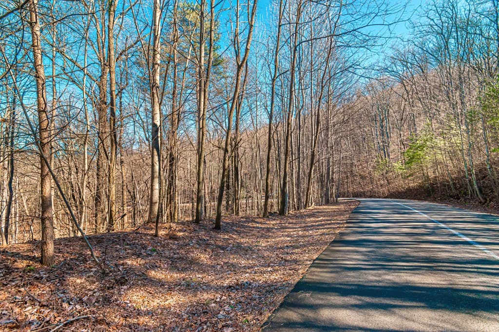Lot 136 St Andrews Way, Ellijay GA 30536 - Photo