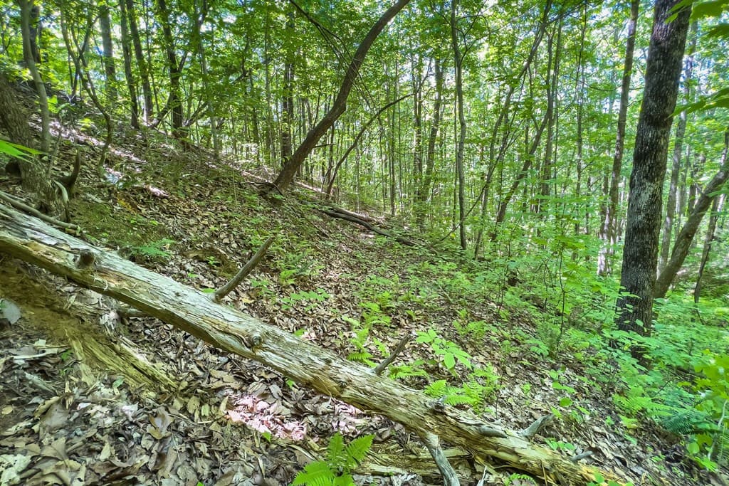 Lot 136 St Andrews Way, Ellijay GA 30536 - Photo