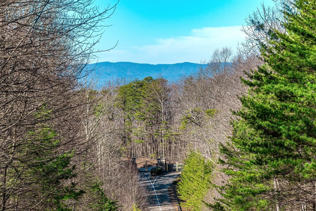 Lot 136 St Andrews Way, Ellijay GA 30536 - Photo