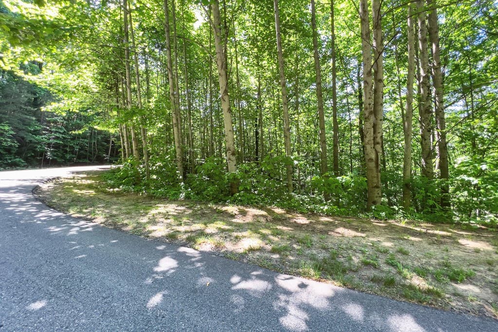 Lot 136 St Andrews Way, Ellijay GA 30536 - Photo
