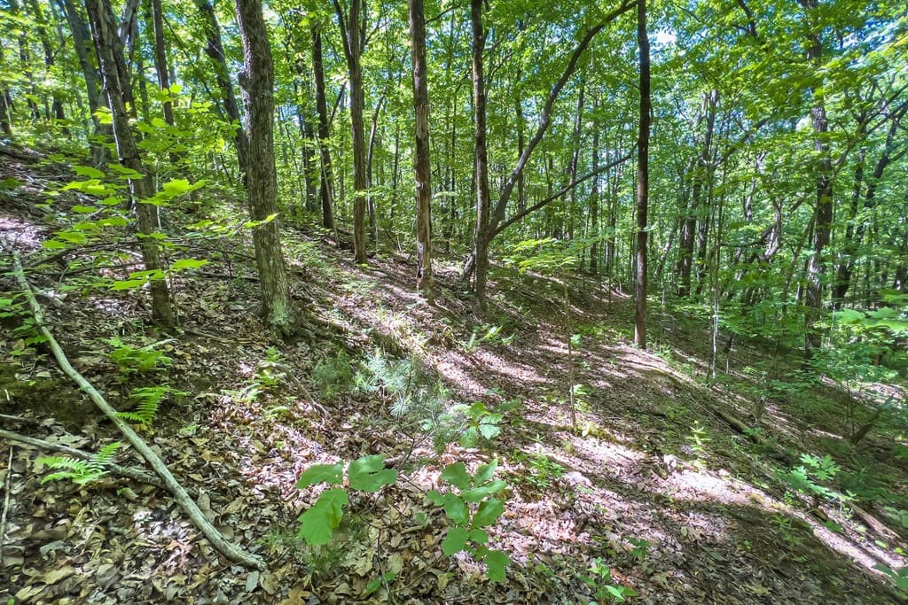 Lot 136 St Andrews Way, Ellijay GA 30536 - Photo