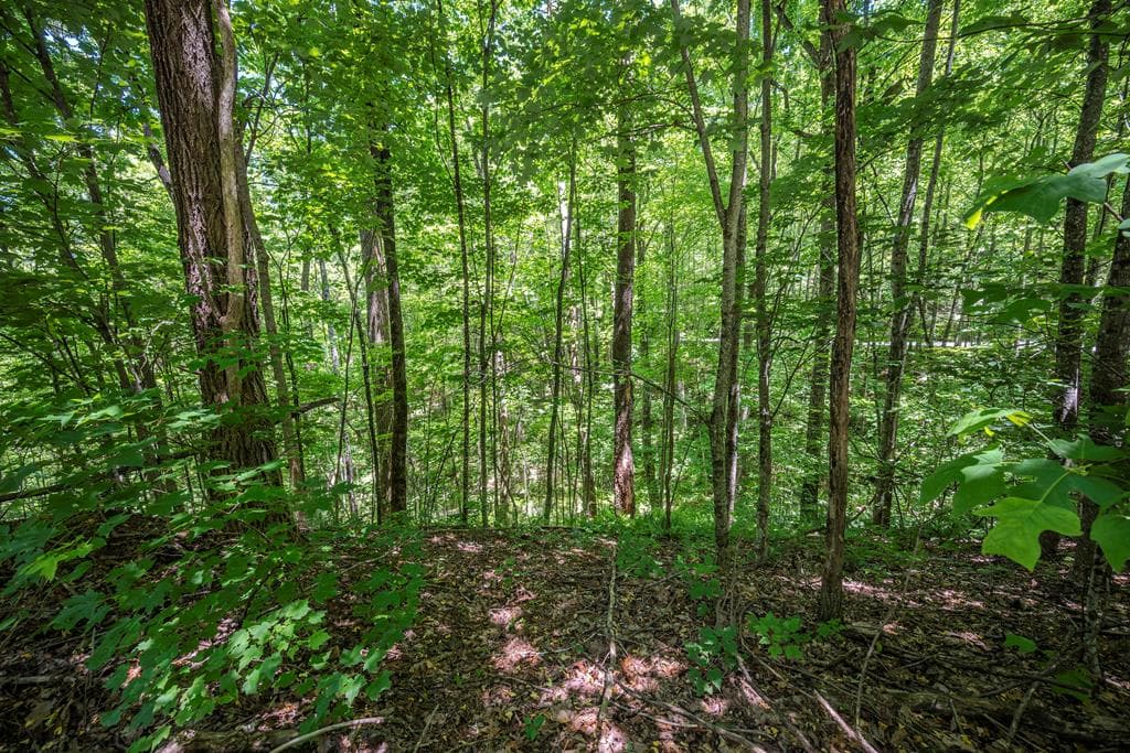 Lot 136 St Andrews Way, Ellijay GA 30536 - Photo
