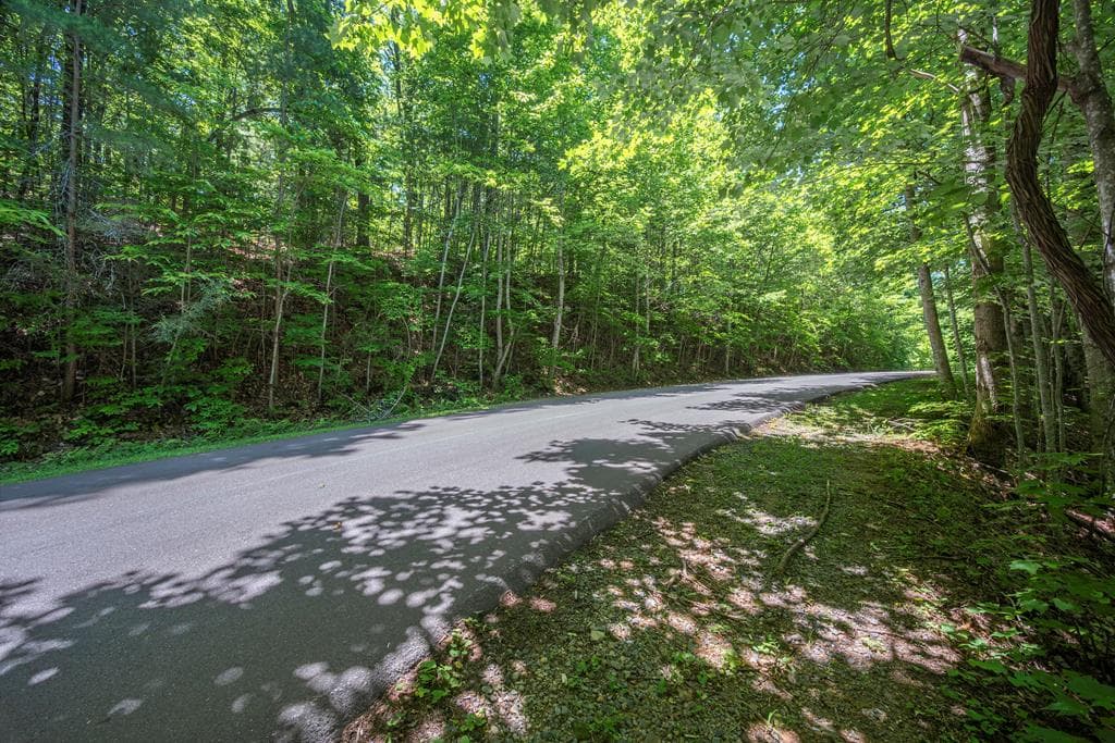 Lot 136 St Andrews Way, Ellijay GA 30536 - Photo
