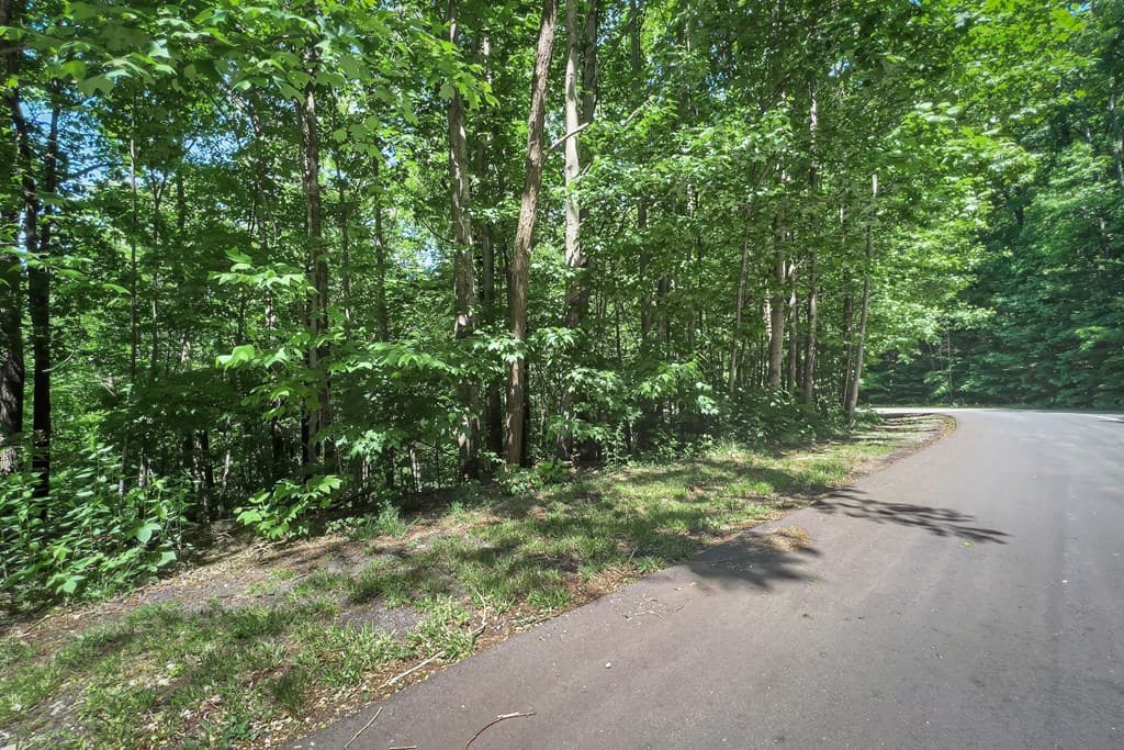 Lot 136 St Andrews Way, Ellijay GA 30536 - Photo