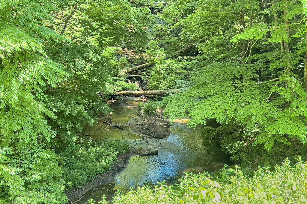 Lot 136 St Andrews Way, Ellijay GA 30536 - Photo