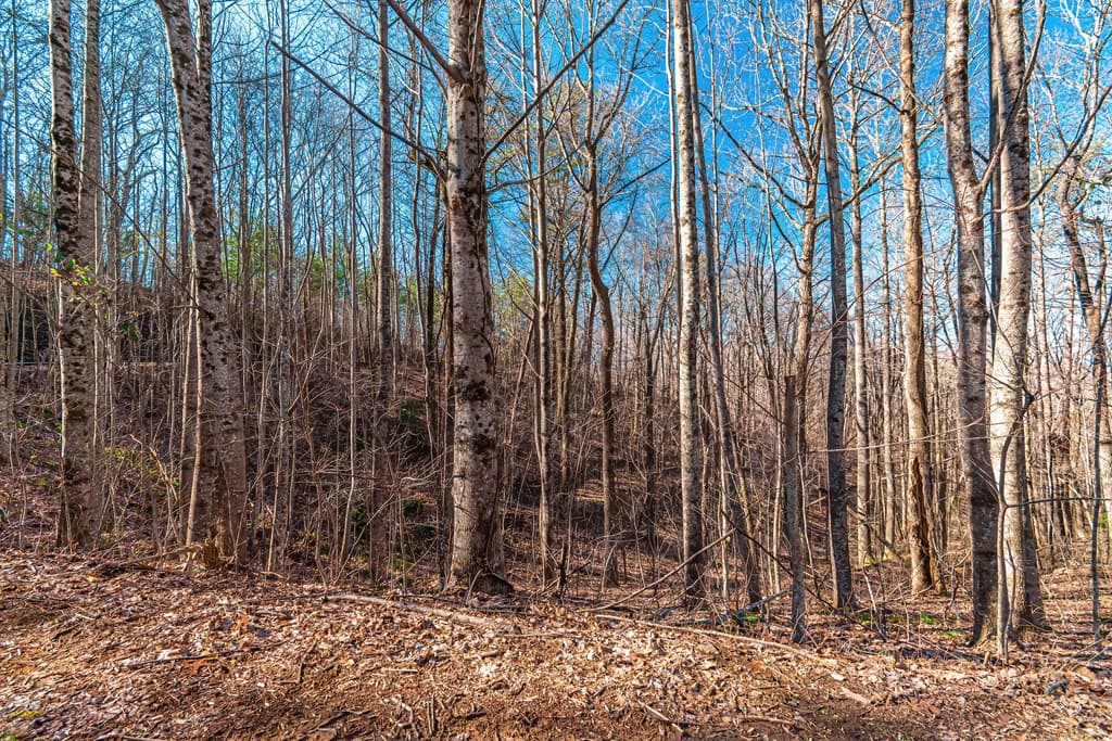 Lot 136 St Andrews Way, Ellijay GA 30536 - Photo