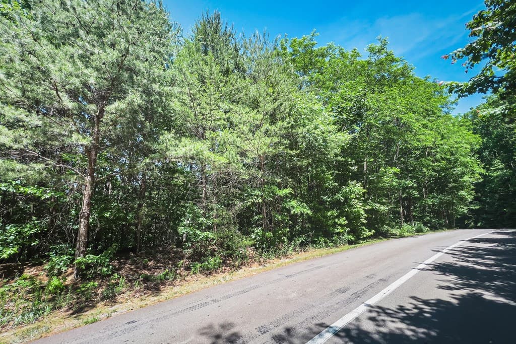 Lot 136 St Andrews Way, Ellijay GA 30536 - Photo