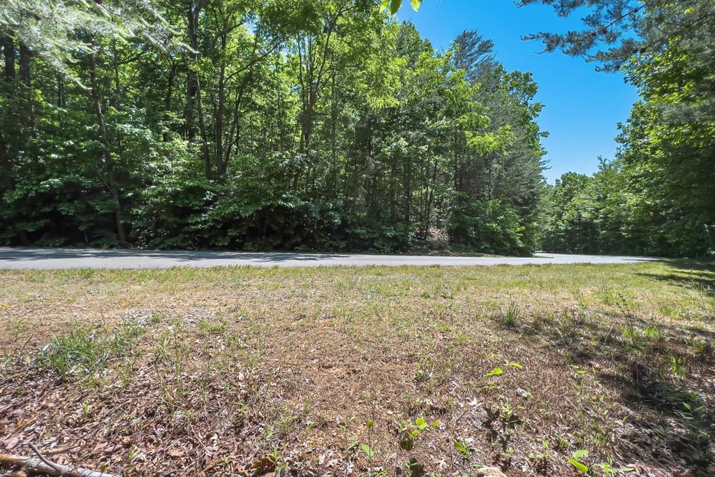 Lot 136 St Andrews Way, Ellijay GA 30536 - Photo