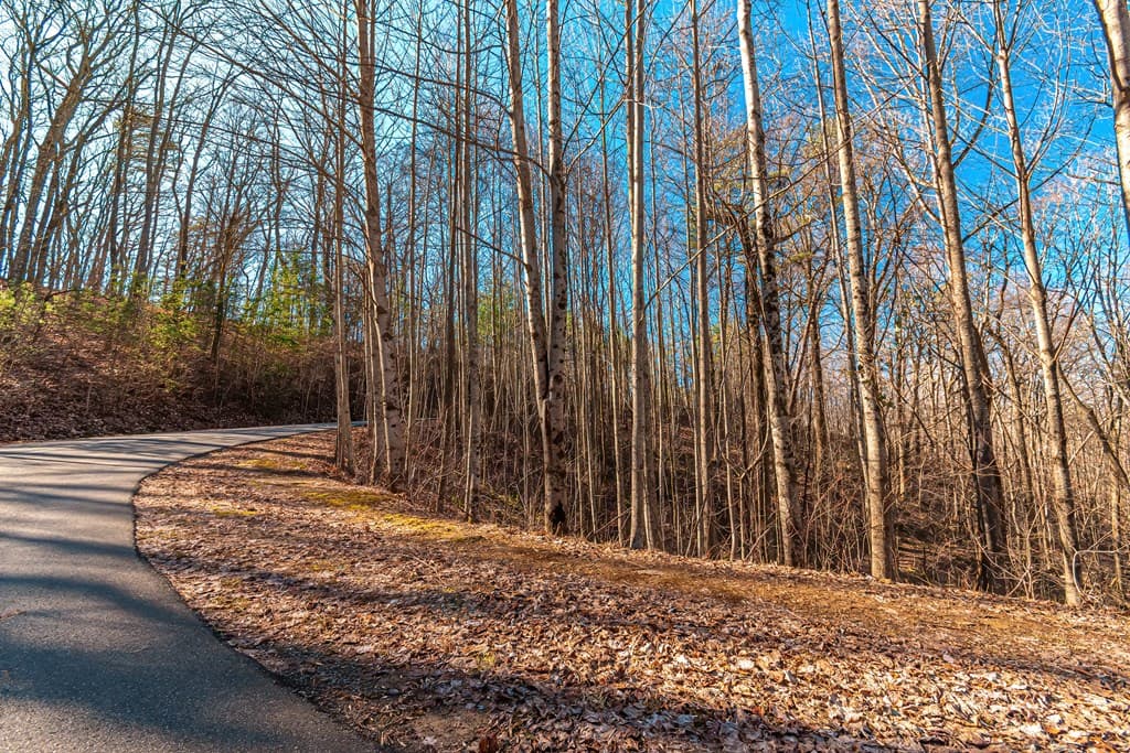 Lot 136 St Andrews Way, Ellijay GA 30536 - Photo