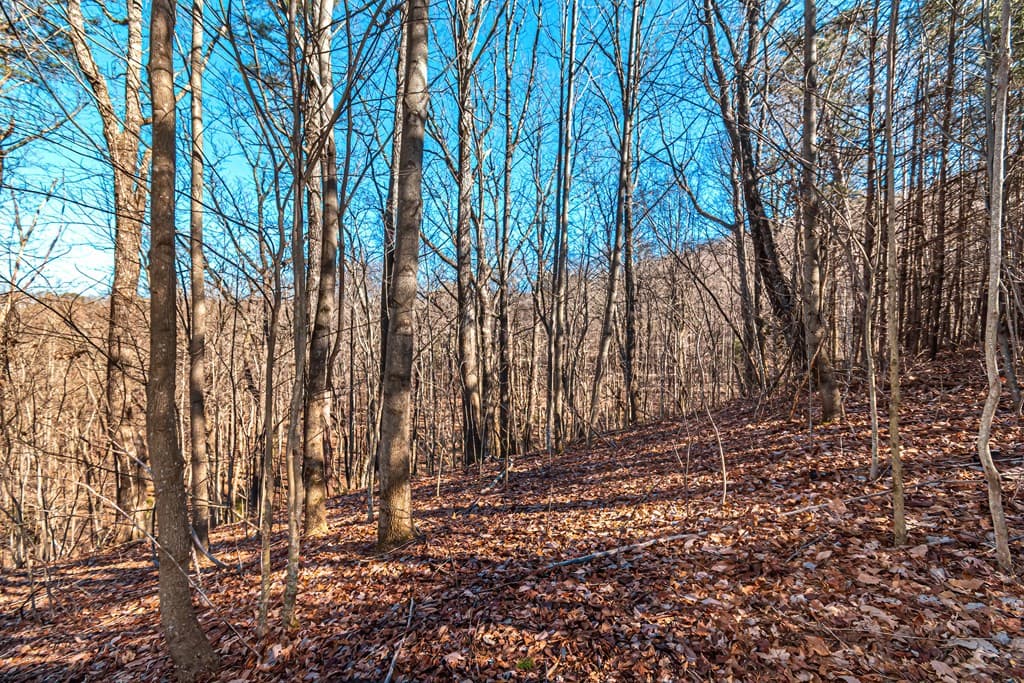 Lot 136 St Andrews Way, Ellijay GA 30536 - Photo