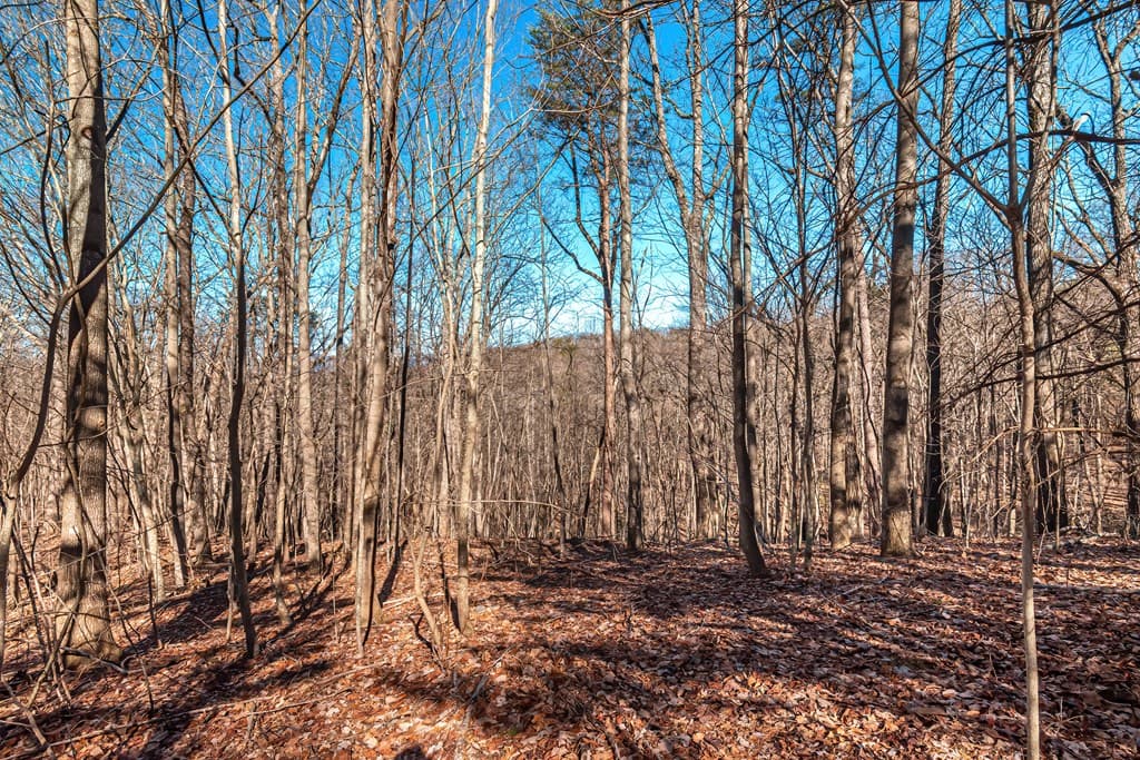 Lot 136 St Andrews Way, Ellijay GA 30536 - Photo