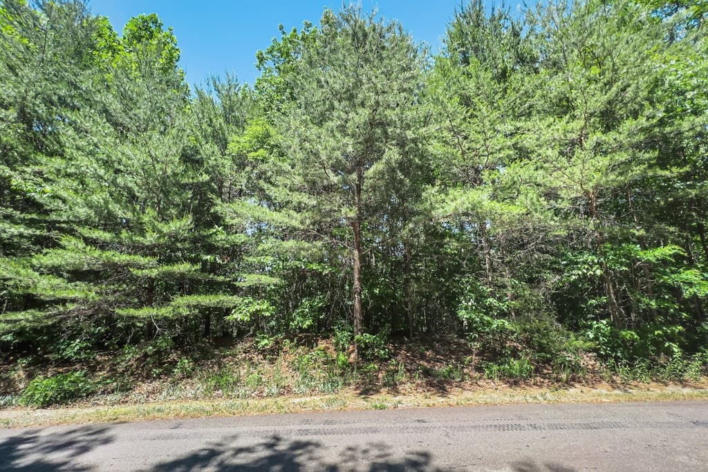 Lot 136 St Andrews Way, Ellijay GA 30536 - Photo