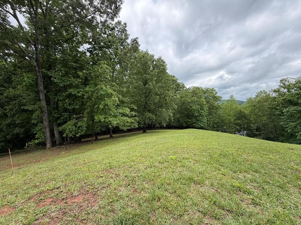 Lot 17 Drake Ridge Lane, Hayesville NC 28904 - Photo