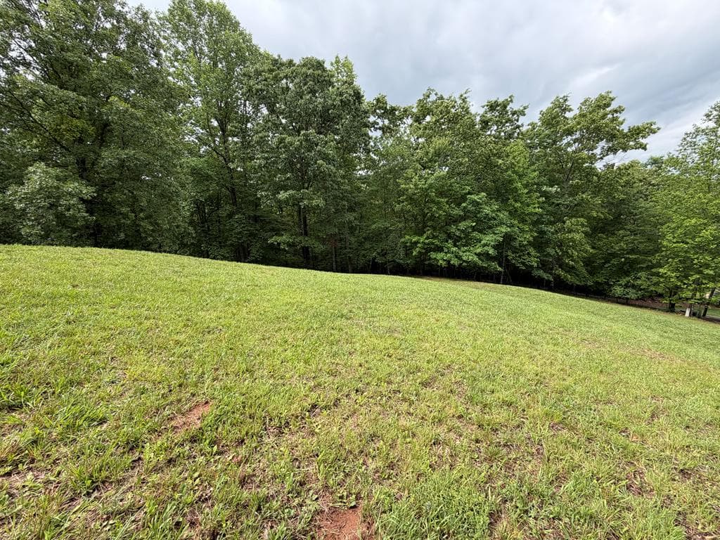 Lot 17 Drake Ridge Lane, Hayesville NC 28904 - Photo