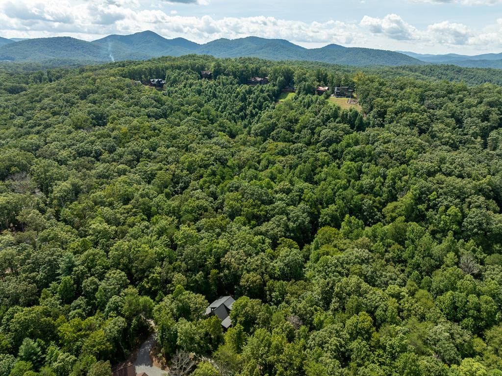 66 Star Creek Court, Morganton GA 30560 - Photo