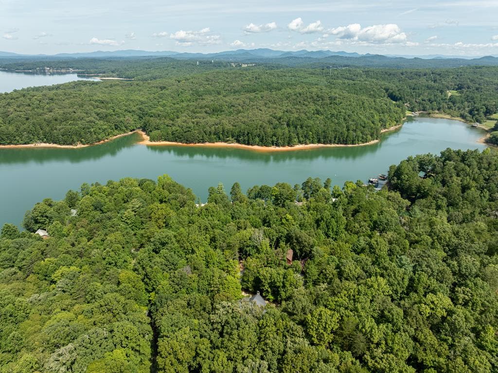66 Star Creek Court, Morganton GA 30560 - Photo