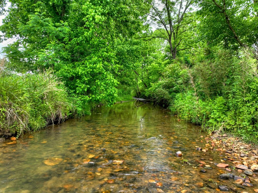 2.5 Acre E Appalachian Highway,, Morganton GA 30560 - Photo
