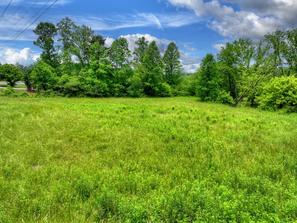 2.5 Acre E Appalachian Highway,, Morganton GA 30560 - Photo