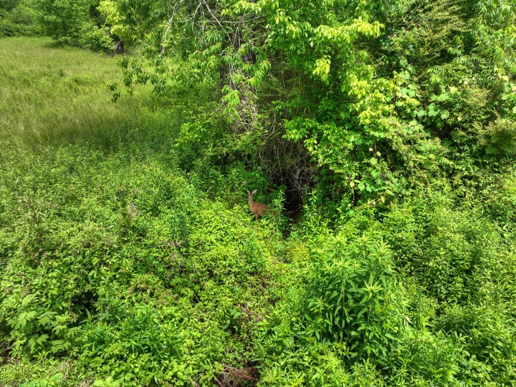 2.5 Acre E Appalachian Highway,, Morganton GA 30560 - Photo