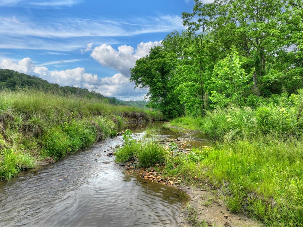 2.5 Acre E Appalachian Highway,, Morganton GA 30560 - Photo