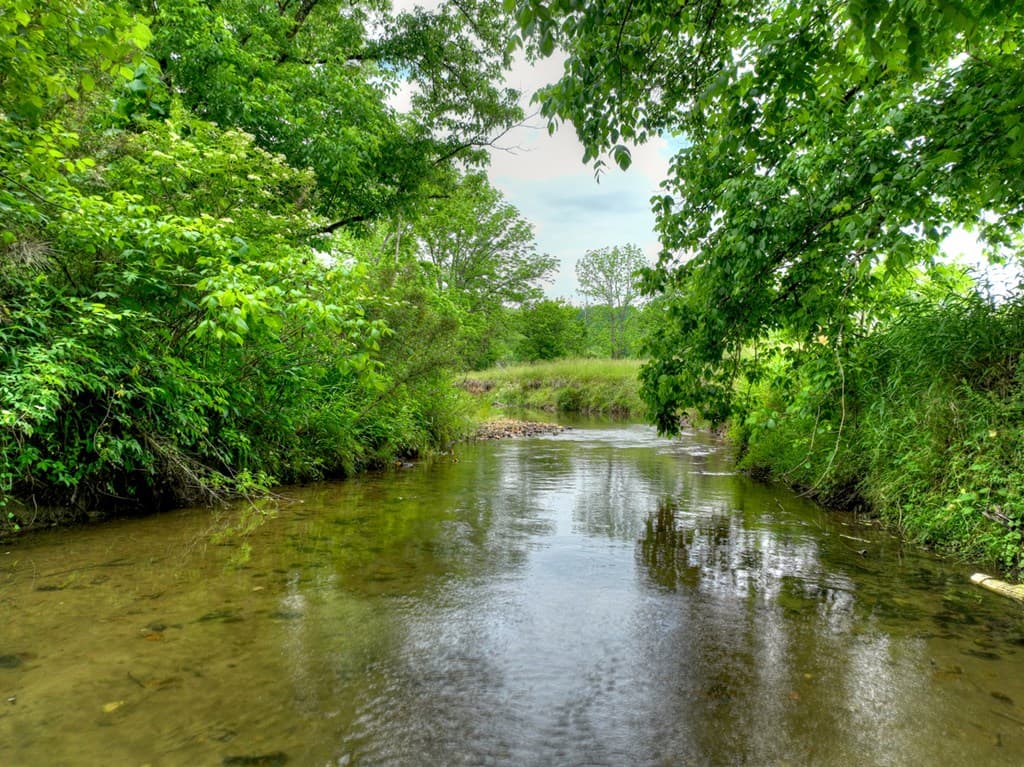 2.5 Acre E Appalachian Highway,, Morganton GA 30560 - Photo