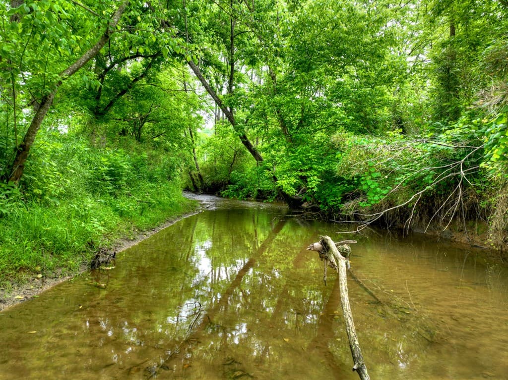 2.5 Acre E Appalachian Highway,, Morganton GA 30560 - Photo