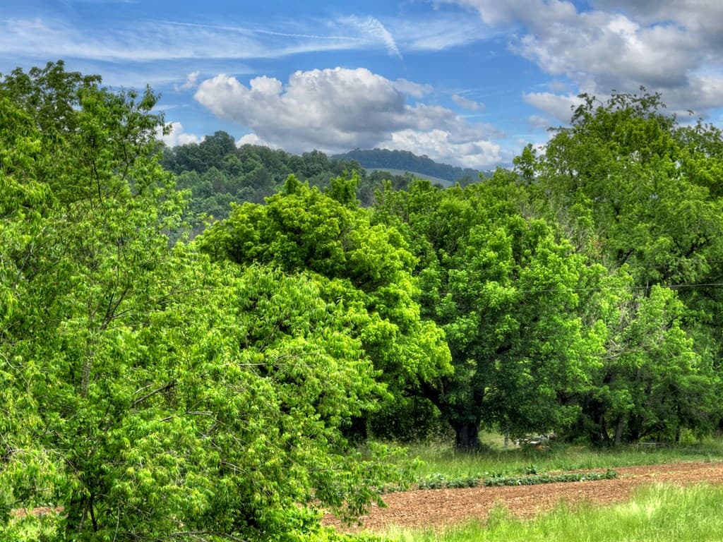 2.5 Acre E Appalachian Highway,, Morganton GA 30560 - Photo