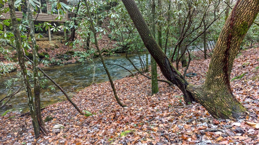 187 Cashes Valley Lane, Cherry Log GA 30522 - Photo