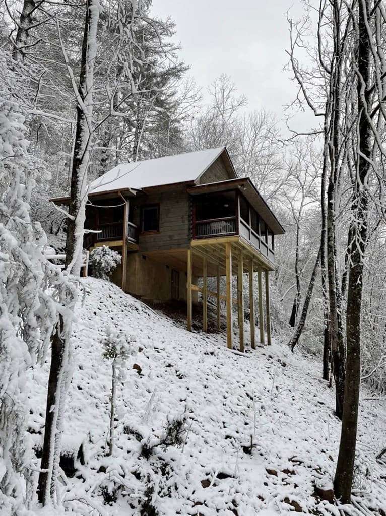 187 Cashes Valley Lane, Cherry Log GA 30522 - Photo