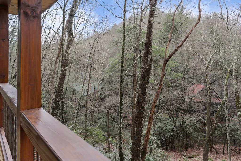 187 Cashes Valley Lane, Cherry Log GA 30522 - Photo
