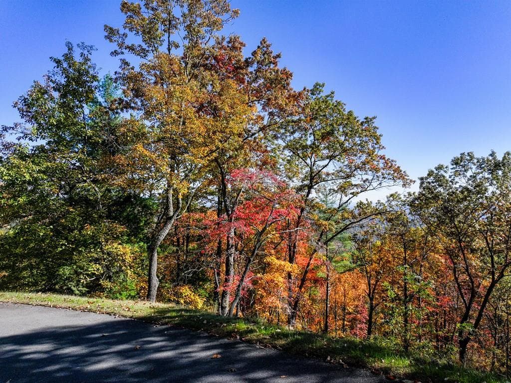 Lot 46 Utana Bluffs Trail, Ellijay GA 30540 - Photo