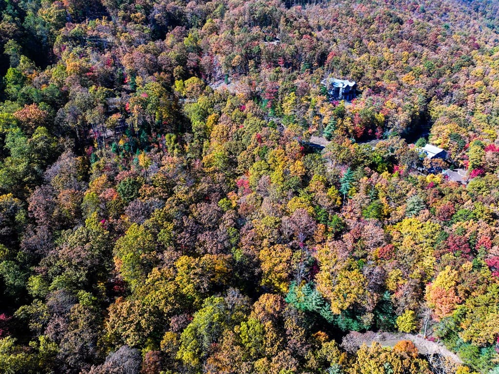 Lot 46 Utana Bluffs Trail, Ellijay GA 30540 - Photo