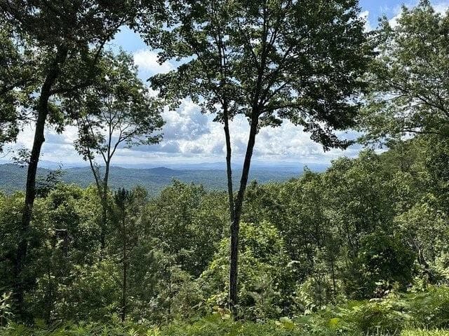 Lot 46 Utana Bluffs Trail, Ellijay GA 30540 - Primary photo