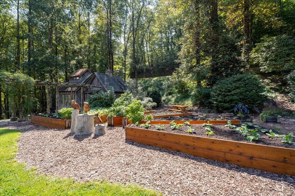 Lot 46 Utana Bluffs Trail, Ellijay GA 30540 - Photo