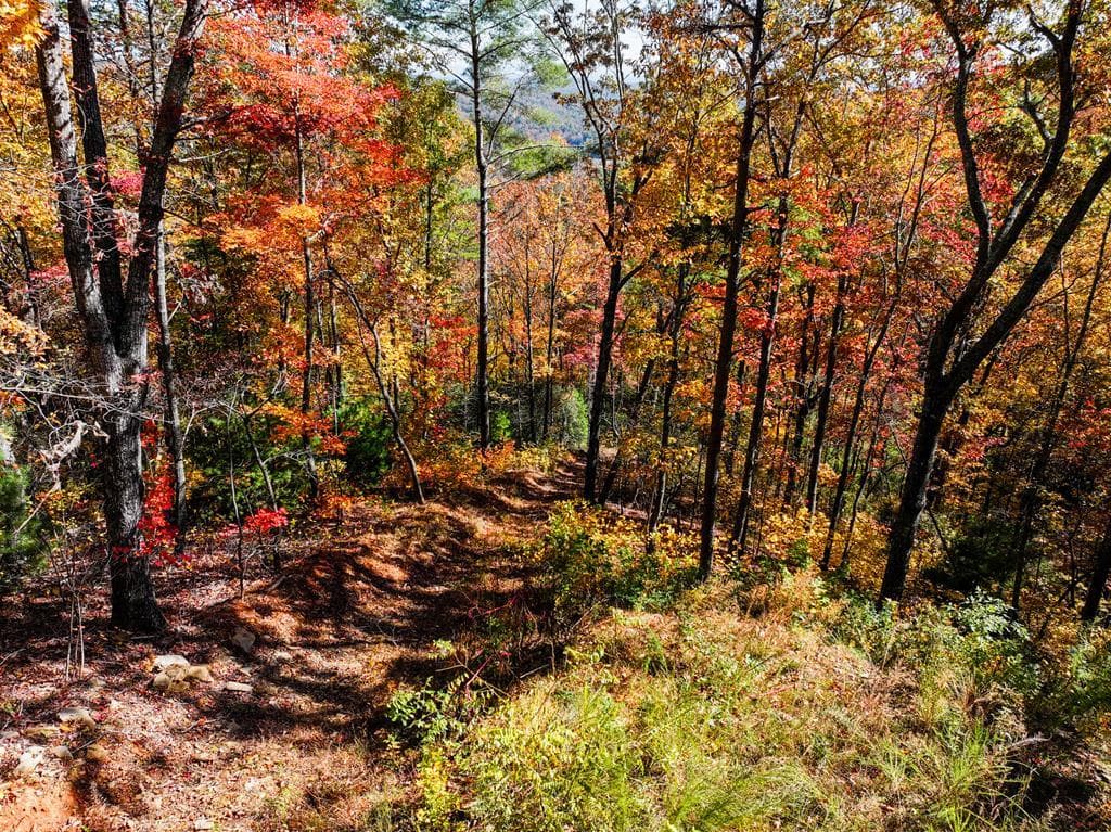 Lot 46 Utana Bluffs Trail, Ellijay GA 30540 - Photo