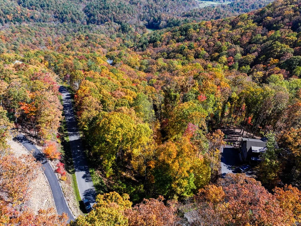 Lot 46 Utana Bluffs Trail, Ellijay GA 30540 - Photo