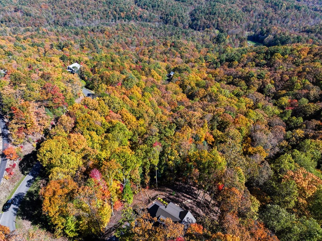 Lot 46 Utana Bluffs Trail, Ellijay GA 30540 - Photo