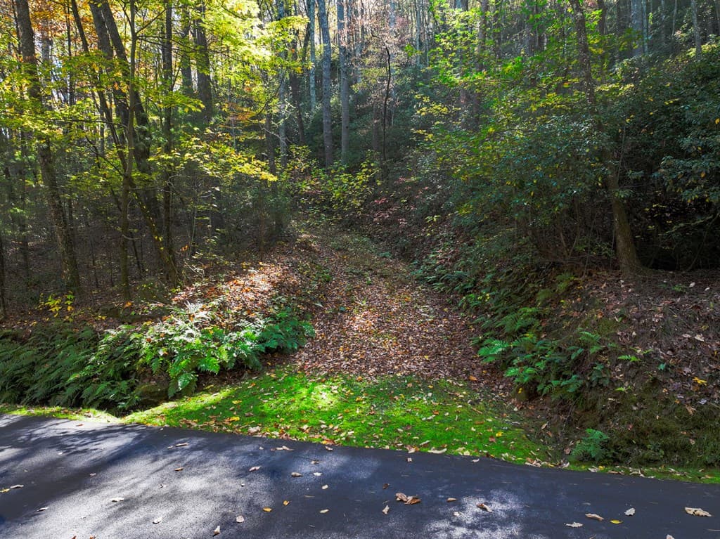 Lot 46 Utana Bluffs Trail, Ellijay GA 30540 - Photo