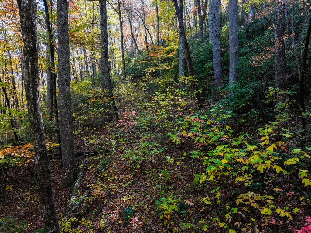 Lot 46 Utana Bluffs Trail, Ellijay GA 30540 - Photo