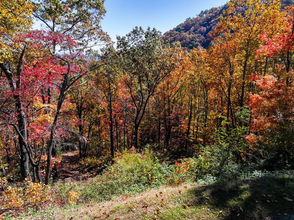 Lot 46 Utana Bluffs Trail, Ellijay GA 30540 - Photo