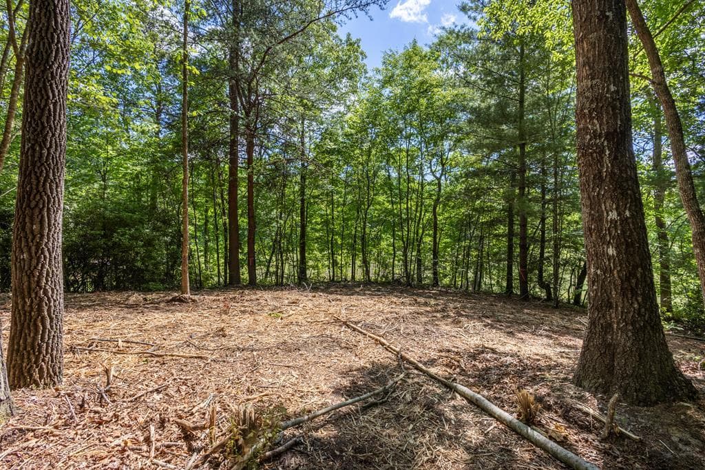 4.2 acre Donley Road, Murphy NC 28906 - Photo
