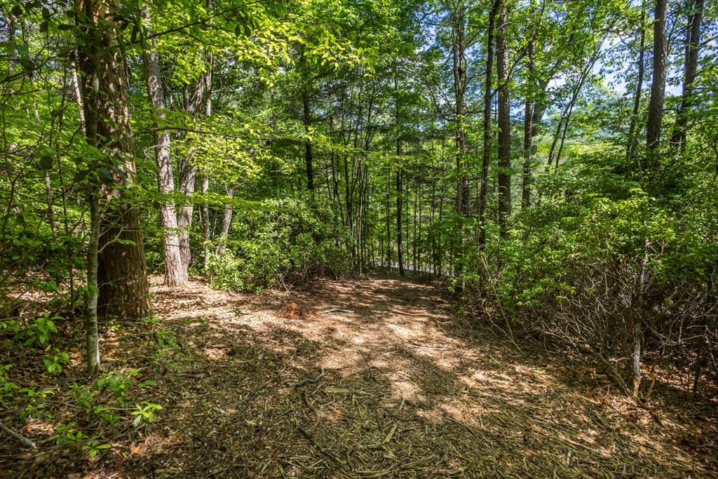 4.2 acre Donley Road, Murphy NC 28906 - Photo