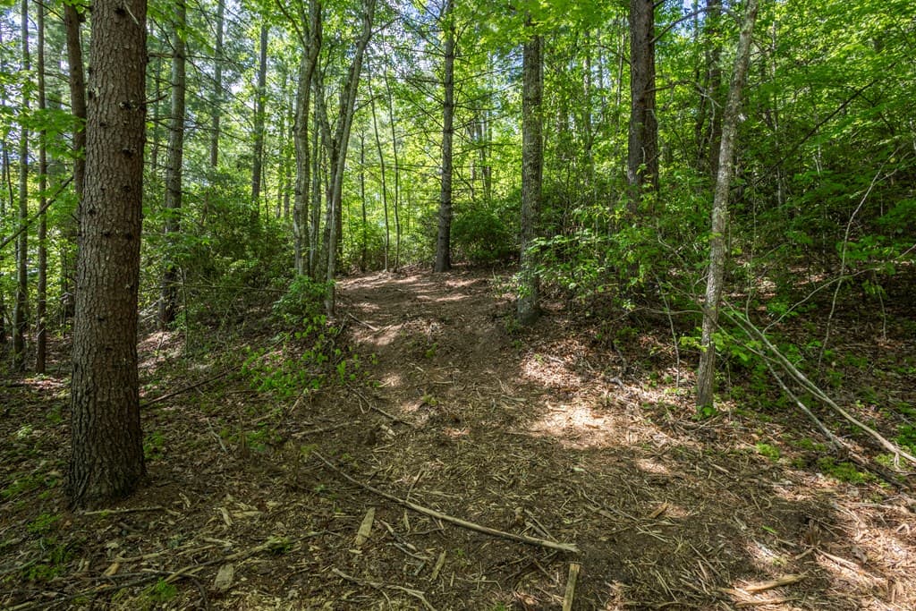 4.2 acre Donley Road, Murphy NC 28906 - Photo