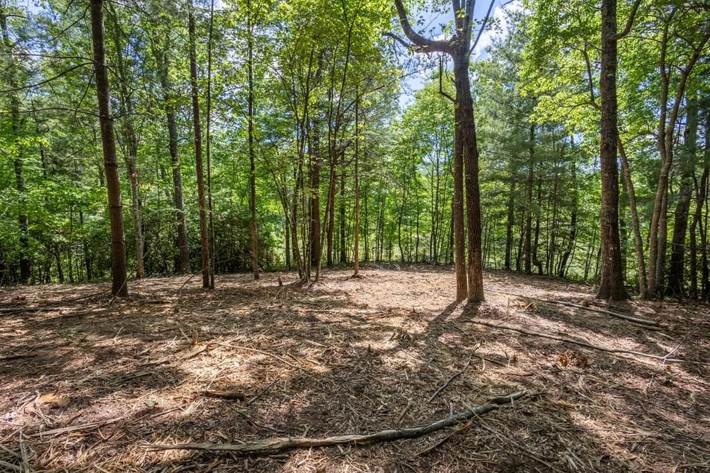 4.2 acre Donley Road, Murphy NC 28906 - Primary photo