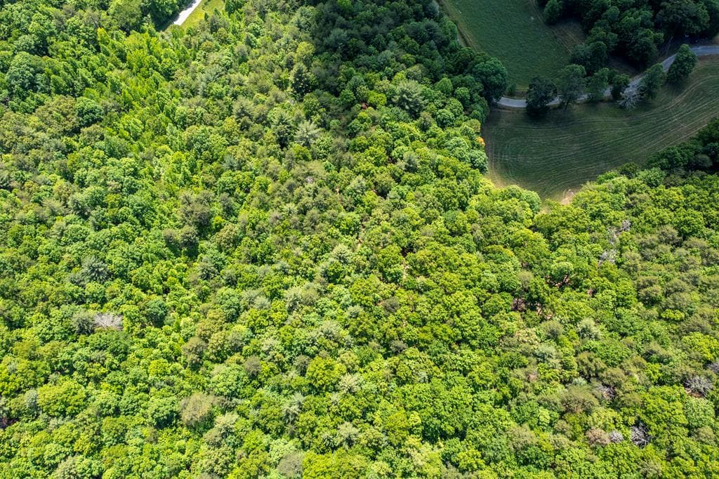4.2 acre Donley Road, Murphy NC 28906 - Photo