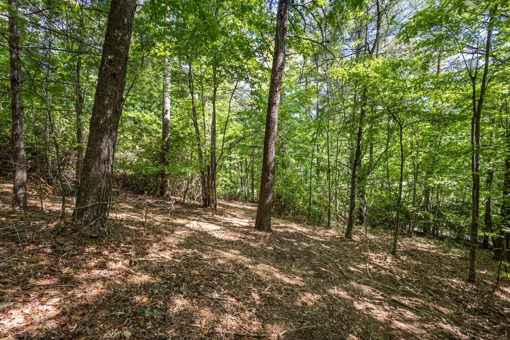 4.2 acre Donley Road, Murphy NC 28906 - Photo