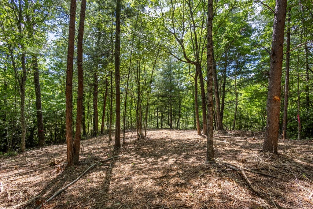 4.2 acre Donley Road, Murphy NC 28906 - Photo